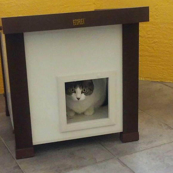 Meet your Posh Ambassador, Pixie_Posh - Picture 1 of 1